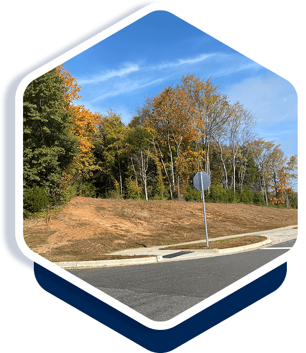 A picture of the road with trees in the background.